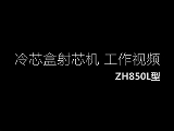 ZH850LооC