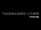 ZD0810Ӷ|^͙C